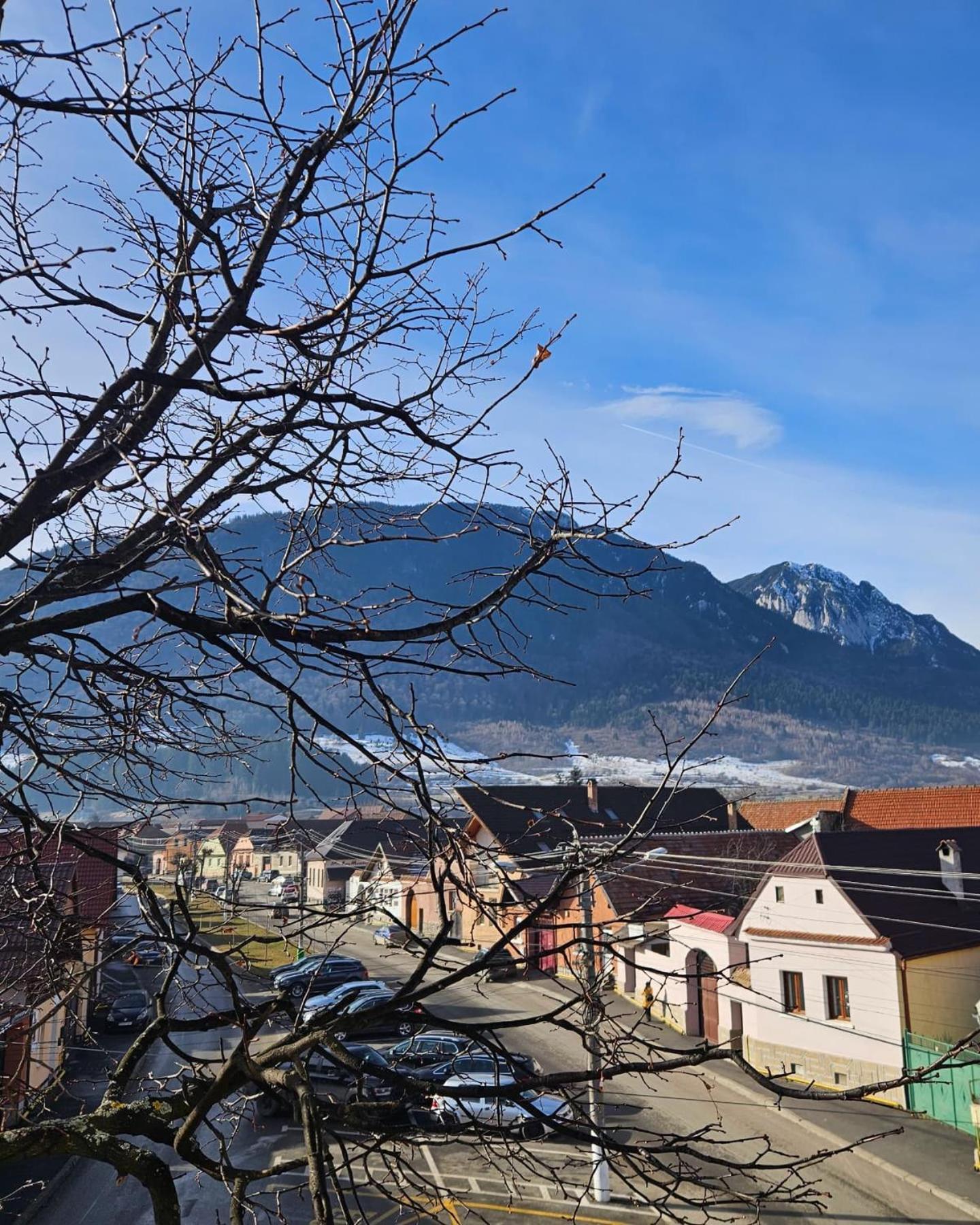 Apartment Zarnesti City Centre Vmp Free Parking Exterior photo