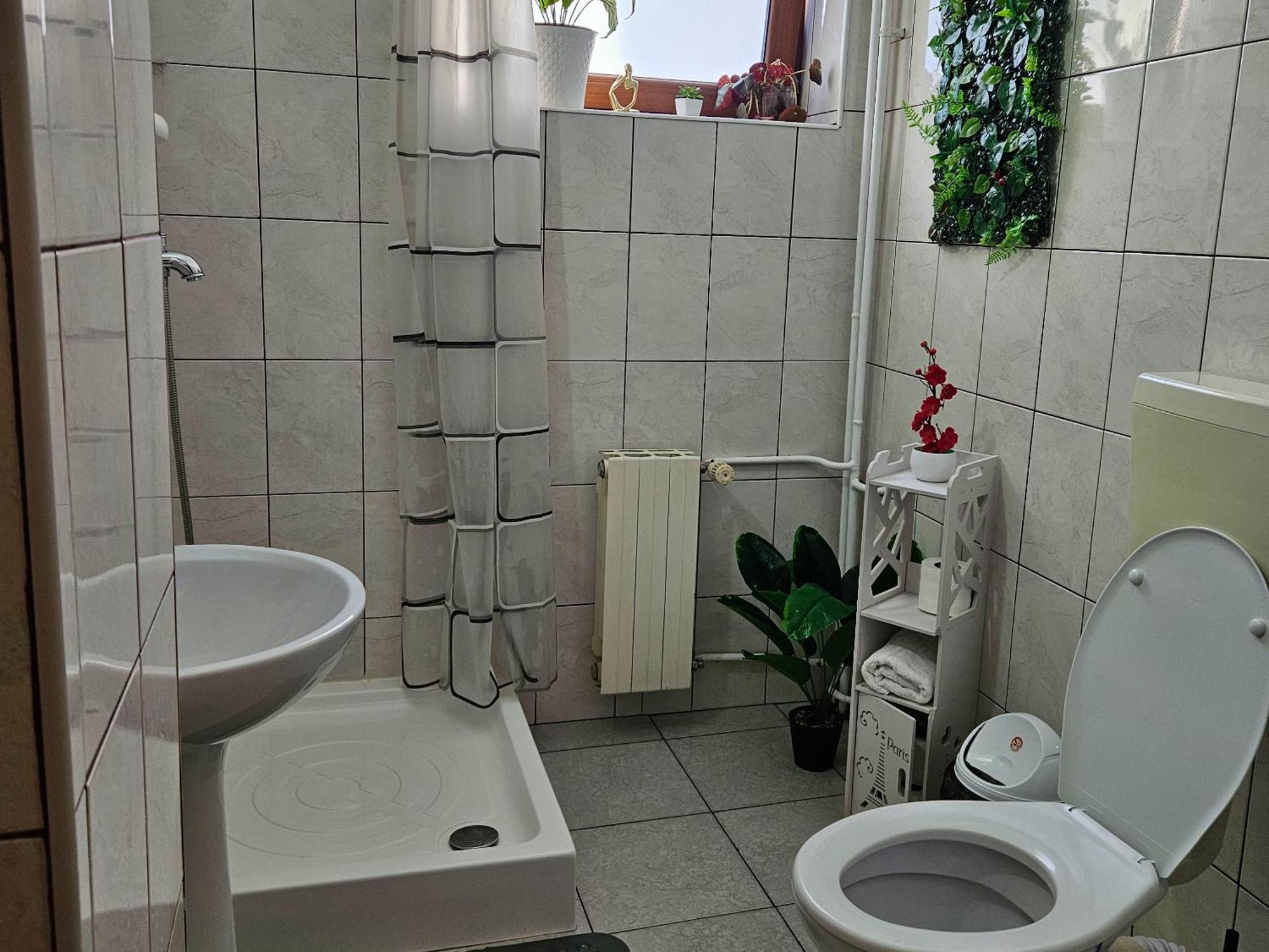 Apartment Zarnesti City Centre Vmp Free Parking Exterior photo